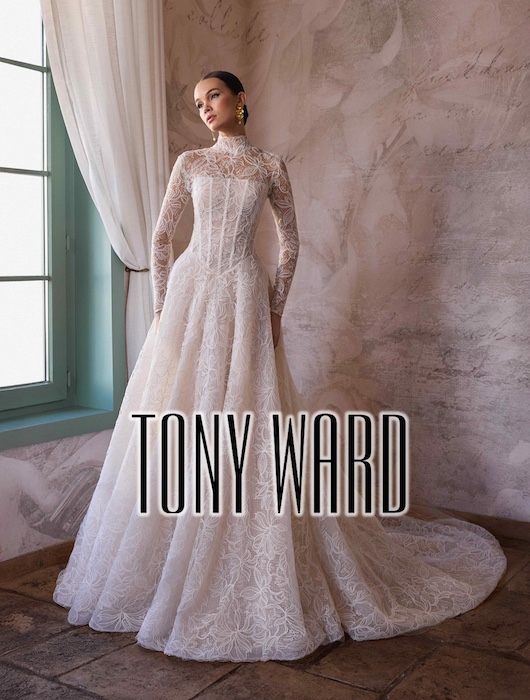 Rebecca la sposa - Tony Ward